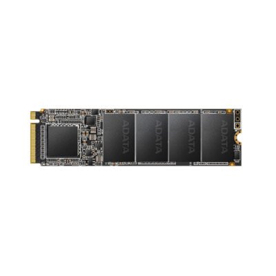 XPG SX6000 Pro M.2 NVMe SSD | 256GB Capacity